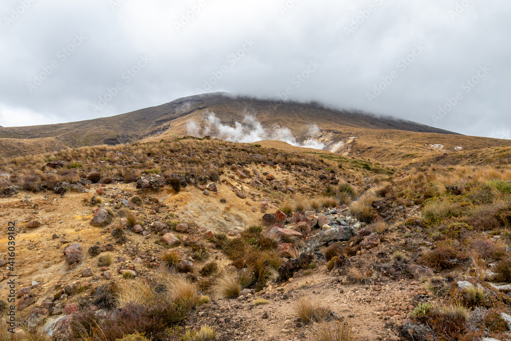 Lande volcanique du parc de Tongariro, Nouvelle Zélande