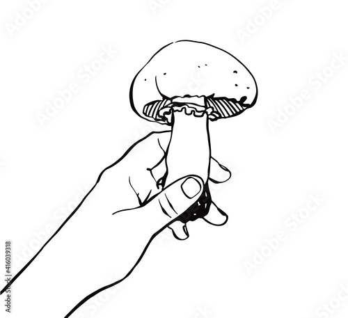 Mushroom champignon. Mushroom in hand. Collecting and harvesting mushrooms. Black and white illustration on a white background.