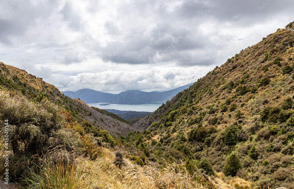 Vallée du parc de Tongariro, Nouvelle Zélande