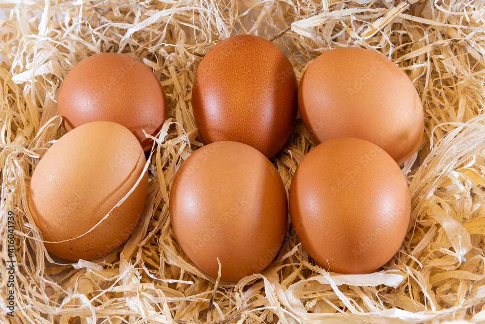 Six Clean farm Eggs laid on a Bed of Straw. Six Clean farm Eggs laid on a Bed of Straw.