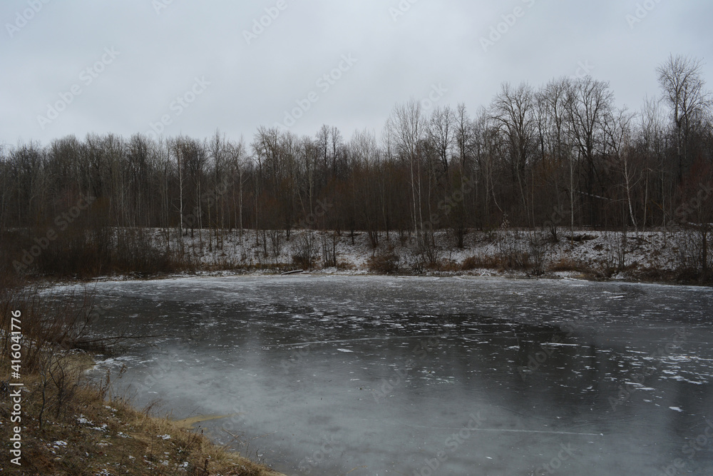 Obraz premium Lake covered by ice in late autumn. Forest on the bank. Overcast frosty day.
