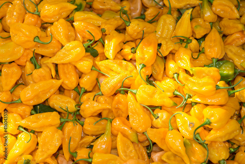 Different kinds of vegetables in a street market in Union Square  Manhattan  New York City  NY  USA.