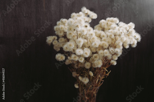 fluffy dried flowers