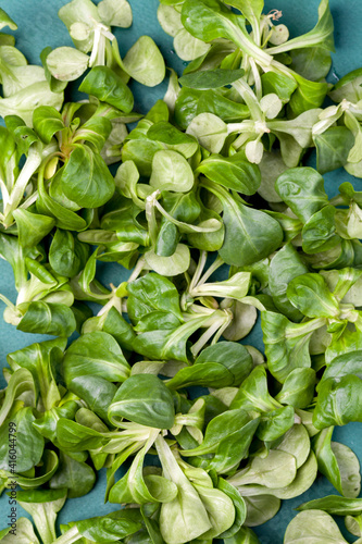 Fresh juicy green corn salad, full frame. Photo studio