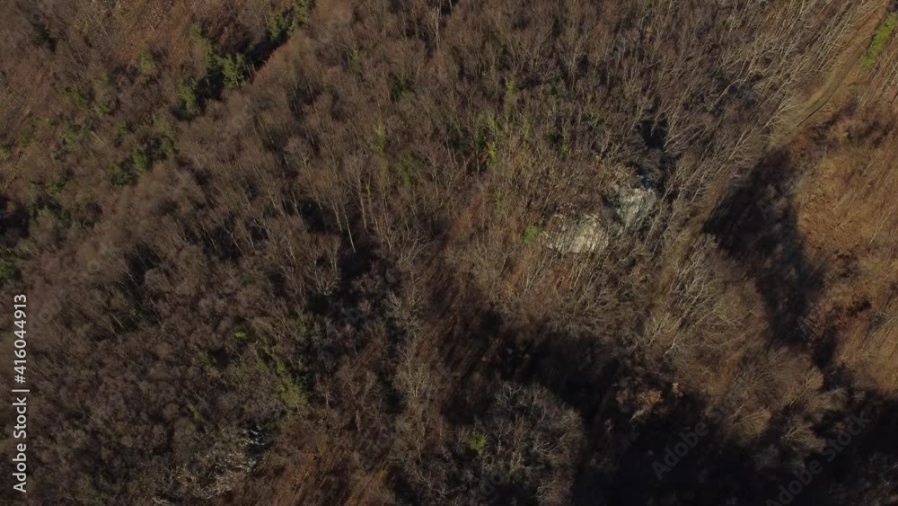 Aerial drone view of hills and mountains in winter on sunny day. Landscape of forest with no leaves on trees. Woodland Aerial drone view of hills and mountains in winter on sunny day. Landscape of forest with no leaves on trees. Woodland