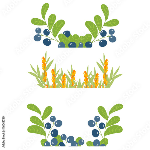 Set of vector borders berries from the twigs of blueberry and sea-buckthorn. Elements of frames for the design of invitations, postcards, packaging.