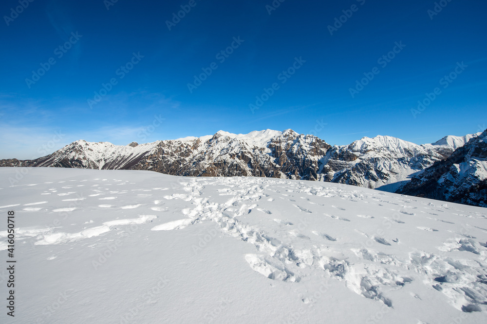 Mountain range of the Monte Carega in winter with snow, called the small Dolomites seen from the Altopiano della Lessinia (Lessinia High Plateau). Veneto and Trentino Alto Adige, Italy, Europe.