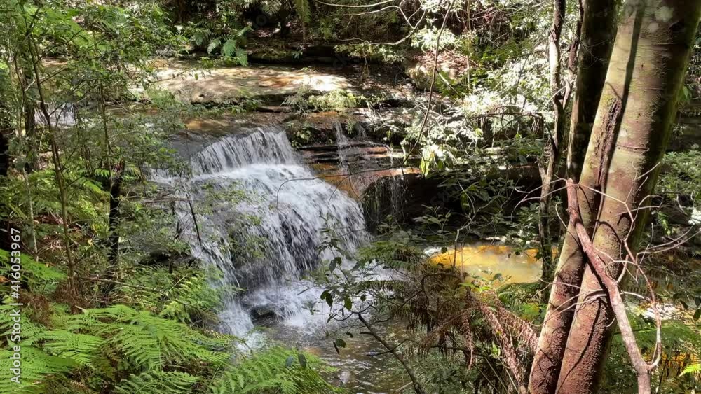 A small waterfall flowing in the forest. A small waterfall flowing in the forest.