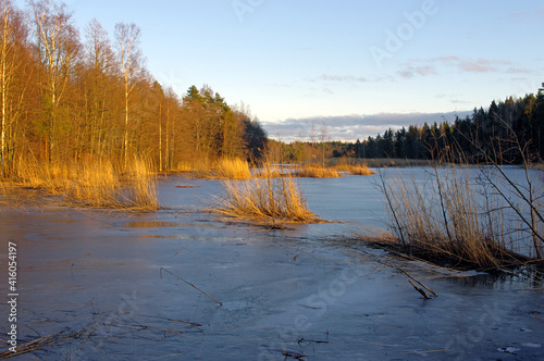A lake in a forest covered with ice with trees illuminated with gold light in winter sunset (East Finland)