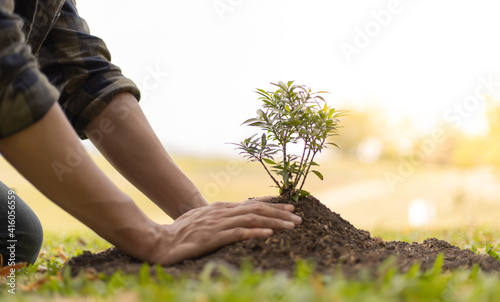 Young man transplanted small seedlings into mineral rich potting soil and prepared to water the plants, Plants help increase oxygen in the air and soil, Loving the Earth and Conserving the Environment photo