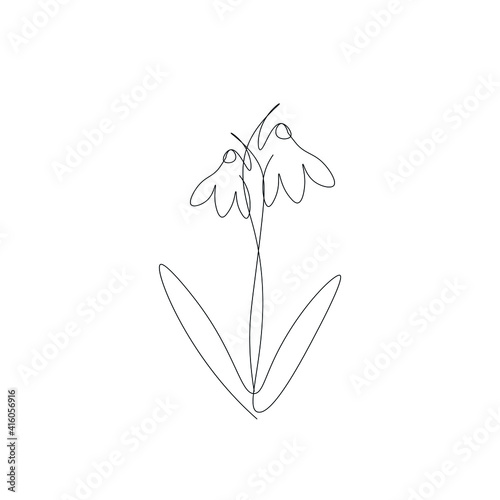 Snowdrop flower line drawing, vector illustration