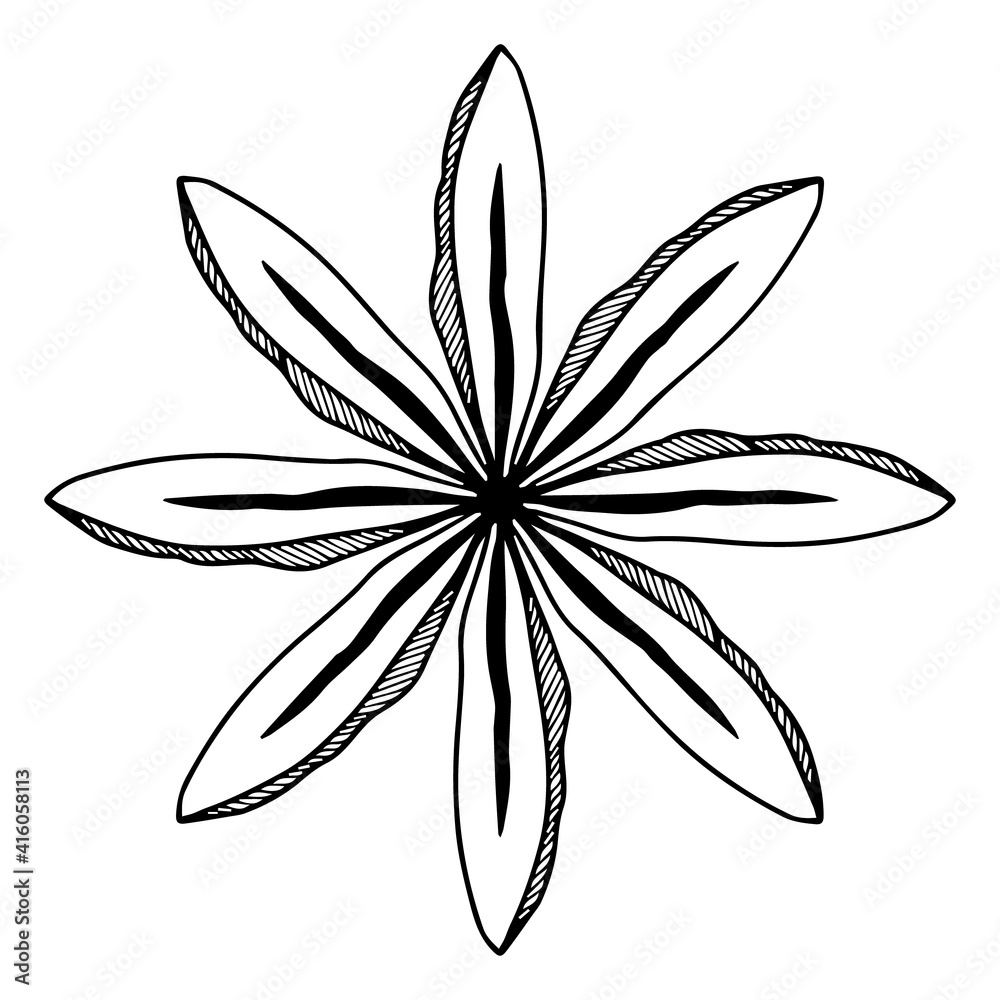 star anise, animon star, linear, black and white drawing, vector star anise, animon star, linear, black and white drawing, vector