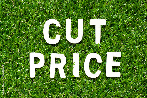 Wood alphabet letter in word cut price on green grass background