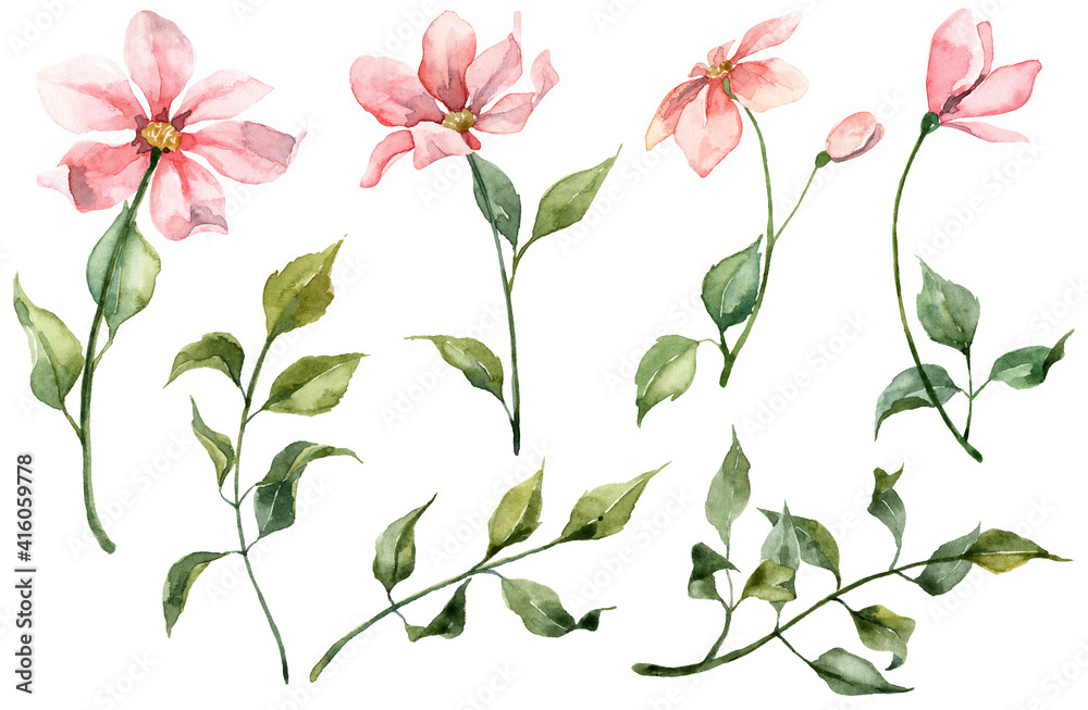 Fototapeta Collection of hand painted pink flowers and green leaves