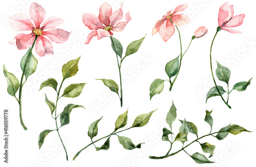 Collection of hand painted pink flowers and green leaves