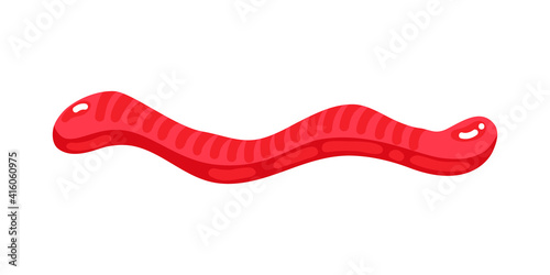 Red jelly worm sweet candy with amazing flavor flat style design vector illustration. Bright colorful jelly delicious sweets isolated on white background.