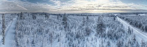 Drone panorama of Swedish forest and road in winter