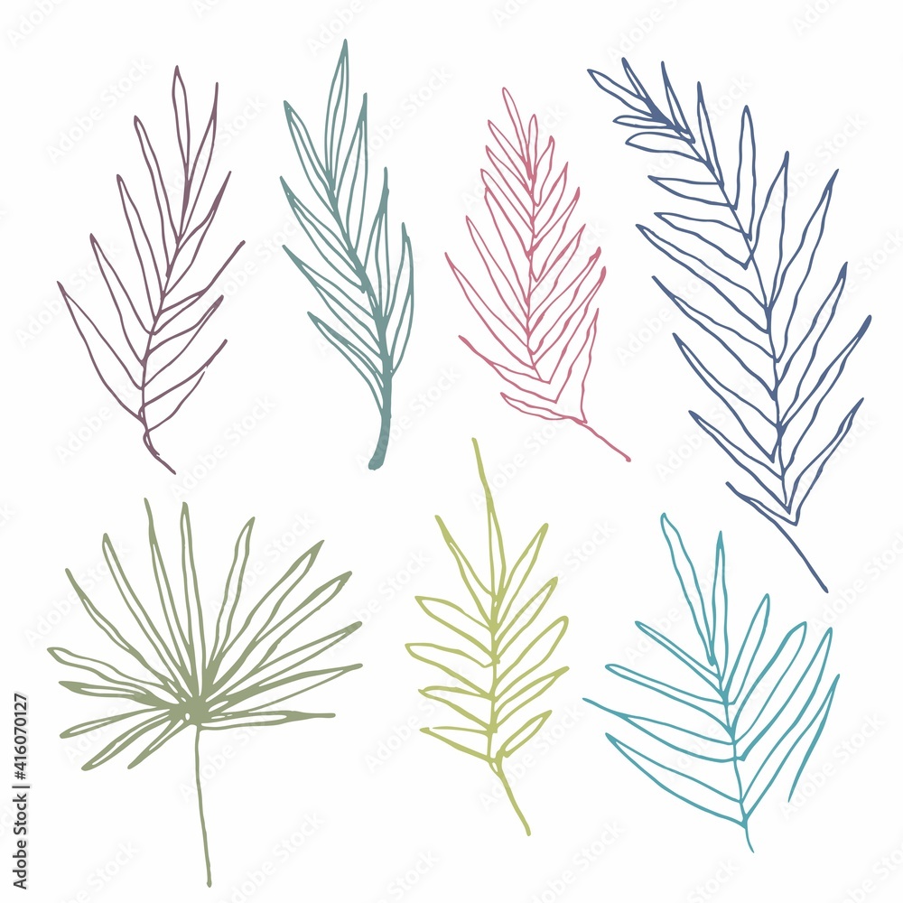 Silhouette of palm leaves with a line