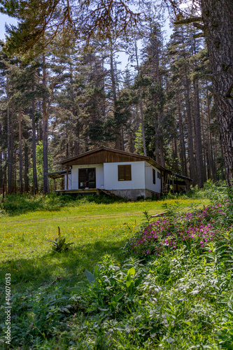 Beautiful idyllic mountain tourist hut © Eli Bolyarska