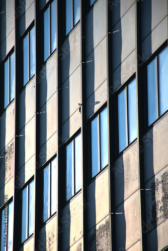 windows of a tall building from a low perspective