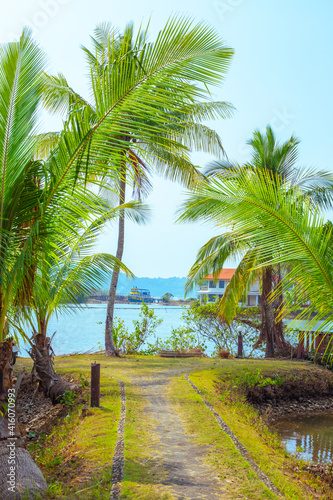 Tropical landscape. A path among palm trees to the bay with a hotel complex. Tourism and travel in Asia