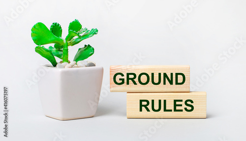 On a light background, a plant in a pot and two wooden blocks with the text GROUND RULES