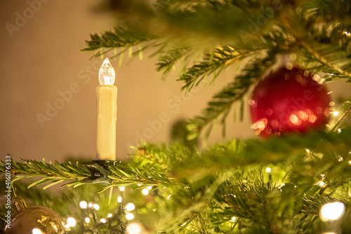 kerze im Baum