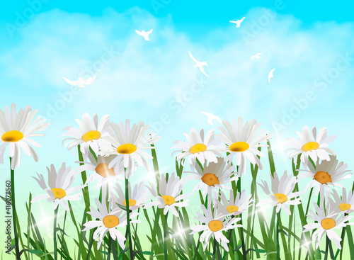 Spring background with chamomile flowers, green grass, swallows and blue sky.