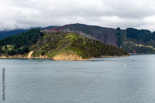Fjord du détroit de Cook, Nouvelle Zélande