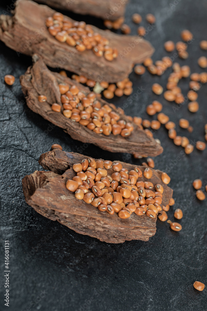Fototapeta premium Brown kidney beans isolated on a dark background