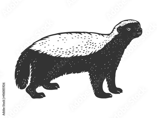 Fototapet Honey badger ratel animal sketch engraving vector illustration