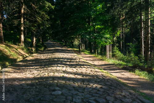 Forest trail Sudety in Poland, Giant Mountains