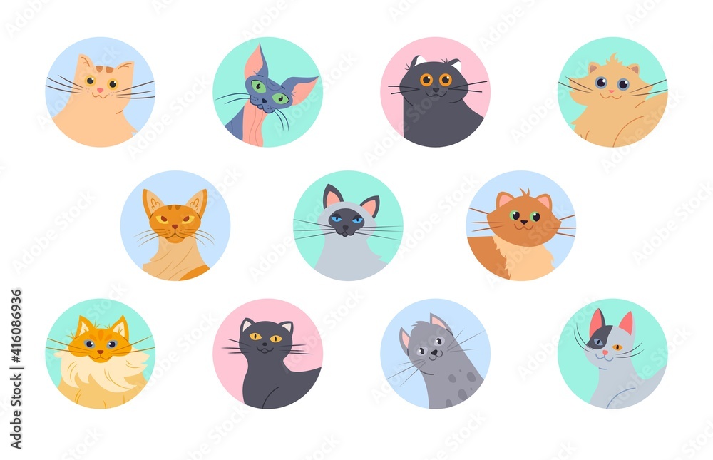 Cats avatars. Funny kittens of various breeds, user profile images. Isolated domestic cat vector set. Happy pet character heads with smiling faces in circles isolated on white, funny feline