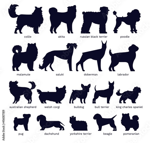 Dog silhouettes. Various breed. Doberman, malamute and labrador, poodle and corgi, bulldog and pug. Isolated vector set. Collection of pets or domestic animals as collie, akita and dachshund