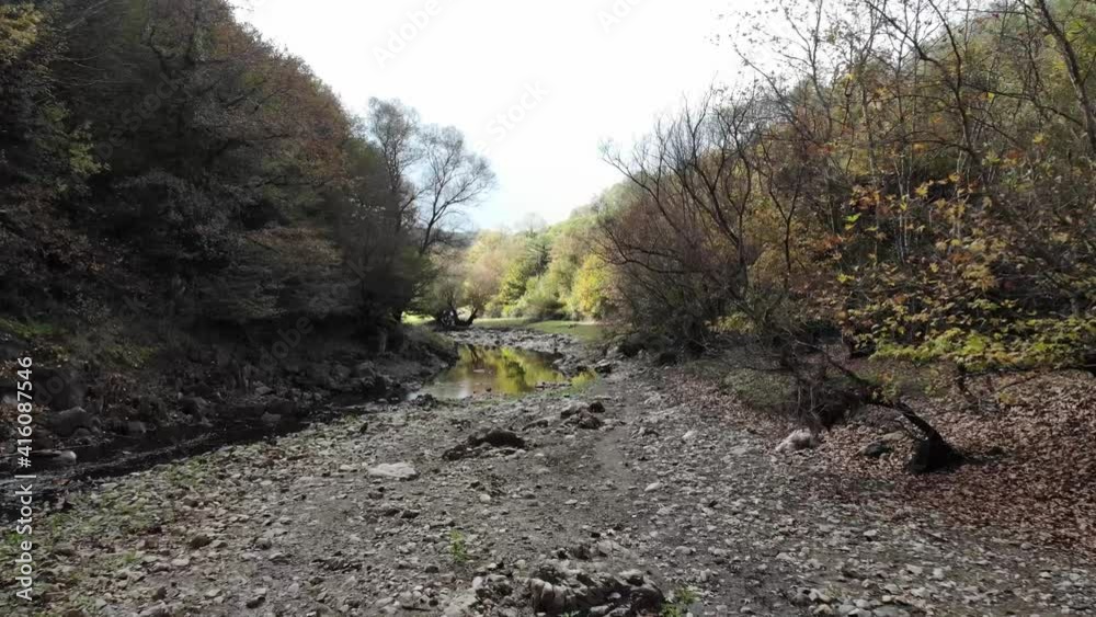 forest and river drone shooting forest and river drone shooting