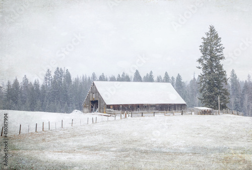 Original winter rural photograph of an old brown barn n the snow with a fence and tall pine trees