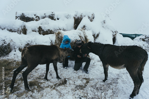 people get to know the deer