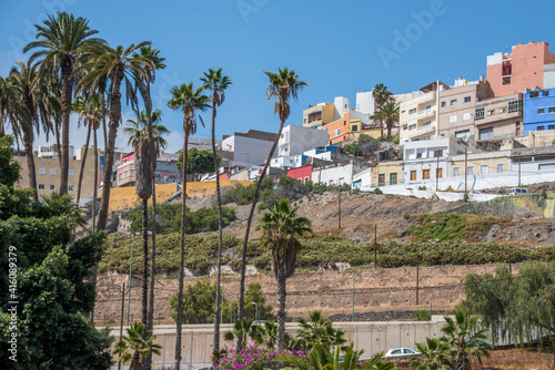 Palmeral y vista del barrio de San Juan en la ciudad de Las Palmas de Gran Canaria