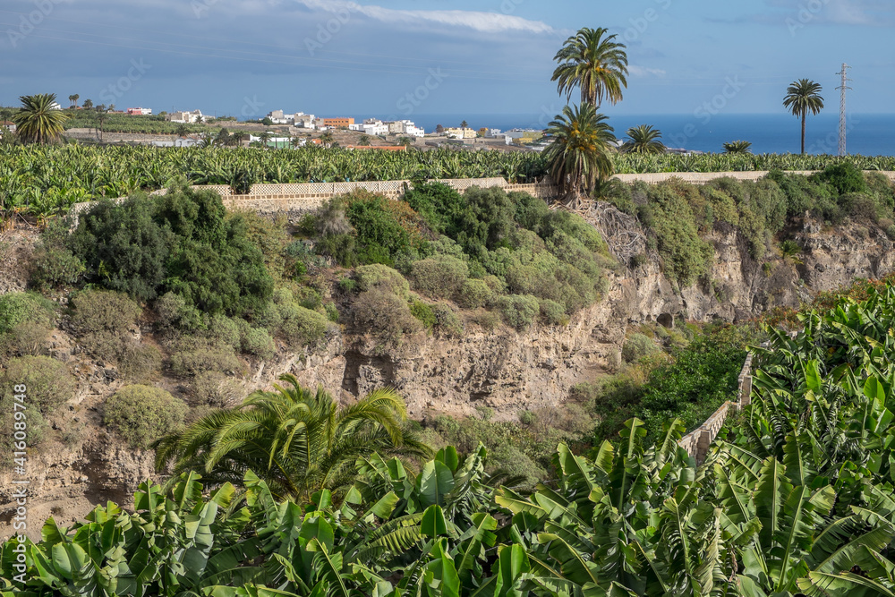 Plataneras y barrancos en la isla de Gran Canaria