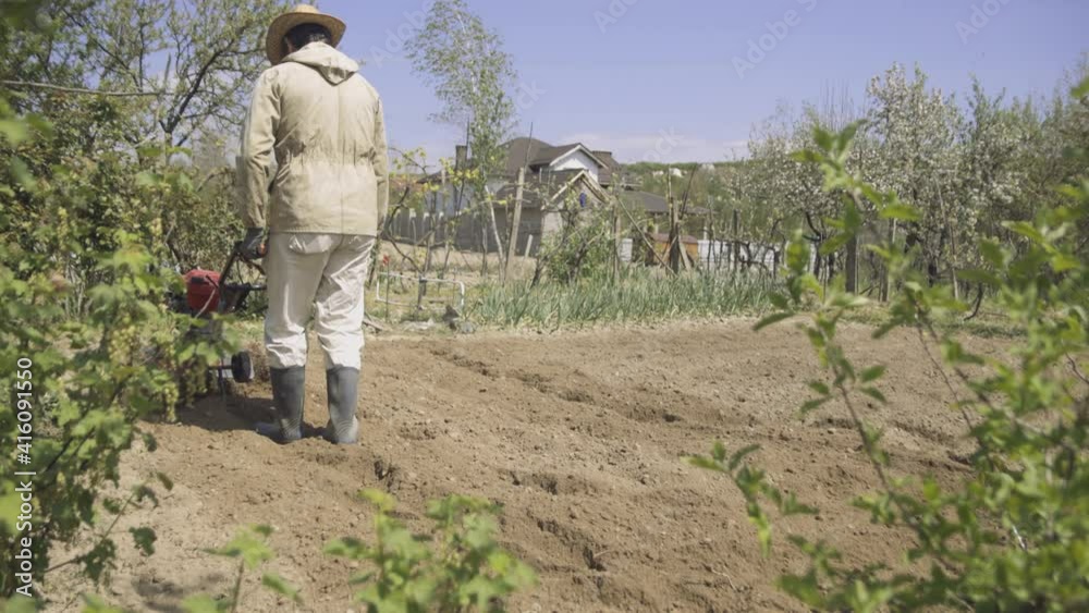 Farmer cultivates the soil in the garden using a tiller - motor cultivator. Man in hat and rubber boots. Footage 4k. Behind view Farmer cultivates the soil in the garden using a tiller - motor cultivator. Man in hat and rubber boots. Footage 4k. Behind view