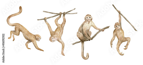 Photographie Watercolor cute monkeys isloated on white