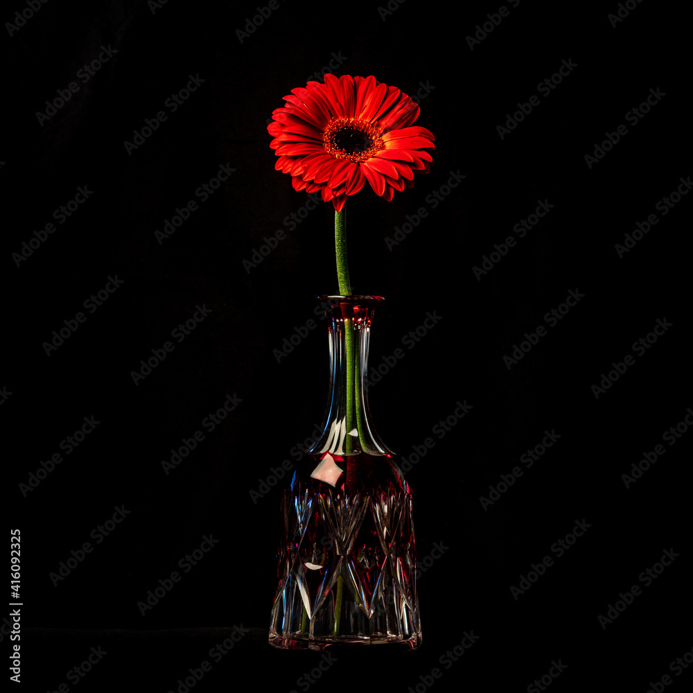 Fleurs Fleurs