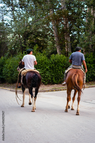 horses on the road