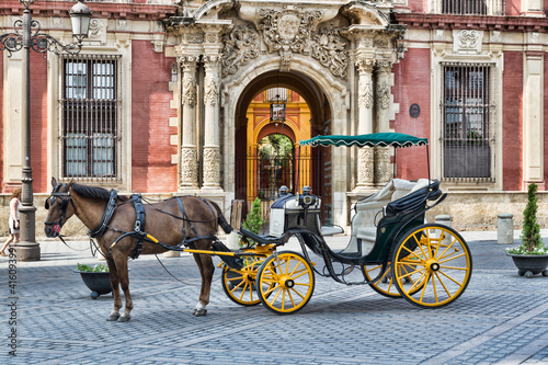 horse and carriage in the street © mr_reverend