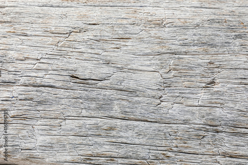 Macro close-up texture of a wood grain