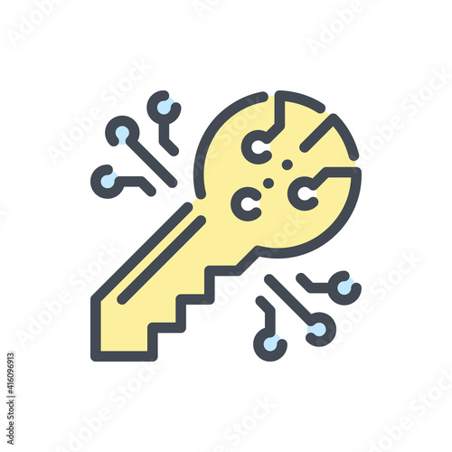 Digital secure key color line icon. Key for bitcoin crypto wallet vector outline colorful sign.