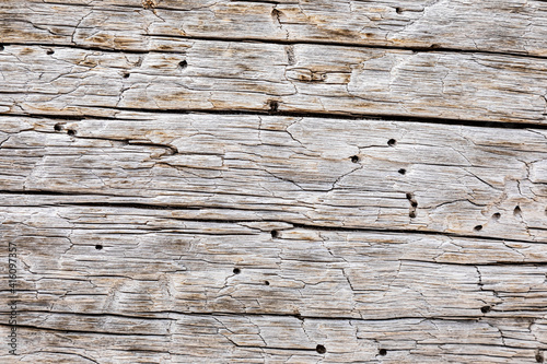 Bilde på lerret Macro close-up texture of a wood grain
