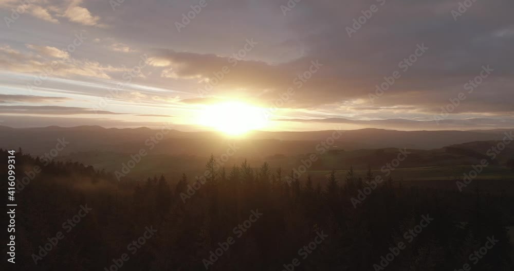 Pine forest sunrise. Drone. Slow pull out at dawn over forest Pine forest sunrise. Drone. Slow pull out at dawn over forest