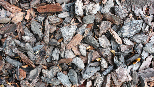 Woody background. Natural brown backdrop of shredded pieces of tree bark. Texture crushed fragments bark of wood.