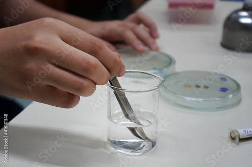 The hand was holding the tongs and dipped in the alcohol contained in the beaker. Tests for the ability to inhibit microorganisms or bacteria in petri dishes by Disc diffusion techniques.
